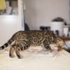 050416_sans titre_040-46
